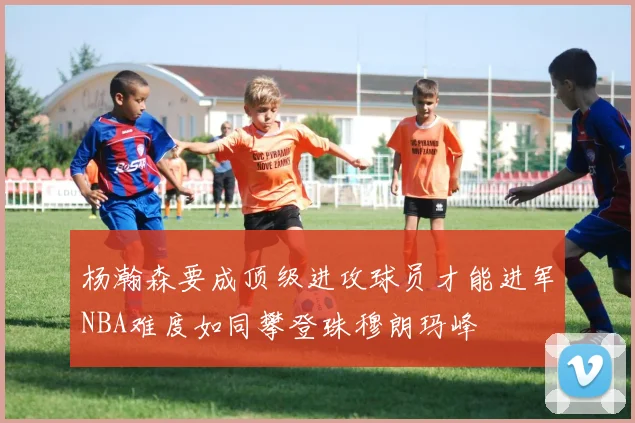 杨瀚森要成顶级进攻球员才能进军NBA难度如同攀登珠穆朗玛峰